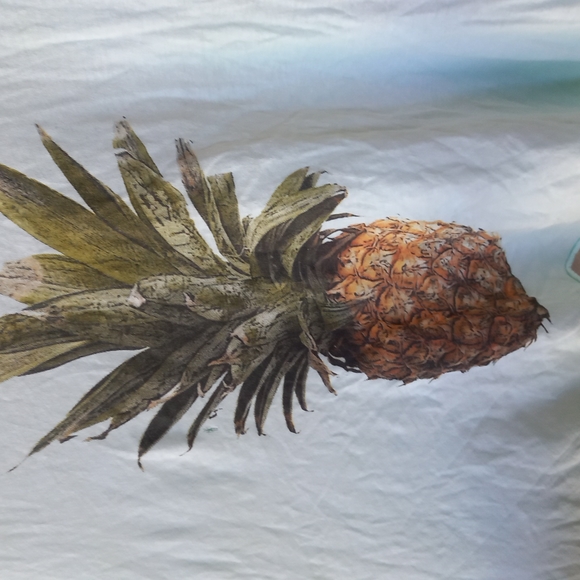 💕Host Pick💕Wildfox flowy tank with pineapple - Picture 2 of 4